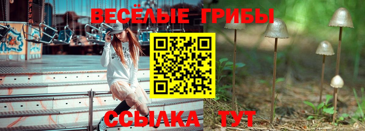 Дедовск  Галлюциногенные грибы Magic Shrooms  Вход с VPN 